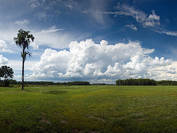 Landscape, Nature HD wallpaper