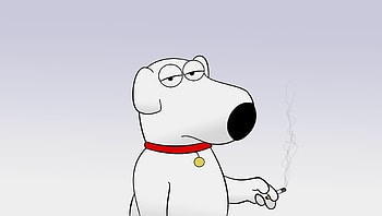 TV Show - Family Guy Brian Griffin HD wallpaper