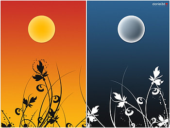 Day and Night, life, fantasy HD wallpaper