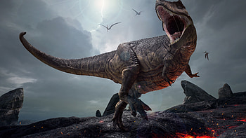 Abstract T-Rex , Colorful design, John Simpson artist, Dinosaur art HD wallpaper