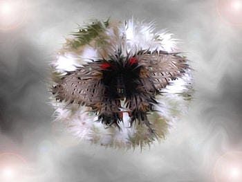 butterfly HD wallpaper