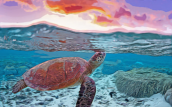 turtle, evening, sunset, , vector art, turtle drawing, creative art, turtle art, vector drawing, abstract animals, turtle underwater, underwater world HD wallpaper