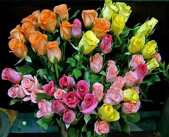 colorful, bouquet, roses, bud, flower HD wallpaper