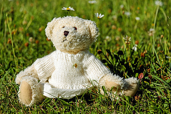 Grass, Teddy Bear, Miscellanea, Miscellaneous, Toy, Blouse, Jersey HD wallpaper