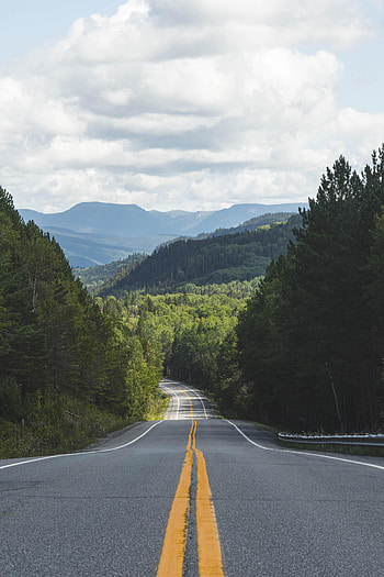 Nature, Trees, Mountains, Road, Markup, Dahl, Distance HD phone wallpaper