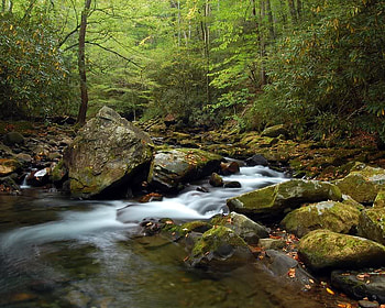 Mountain Stream, trees, leaves, water, rocks HD wallpaper
