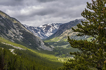 Custer National Forest, Montana HD wallpaper