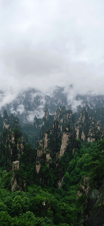 Zhangjiajie national park HD phone wallpaper