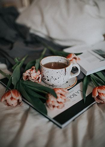 Flowers, Still Life, Miscellanea, Miscellaneous, Cup, Tea HD phone wallpaper