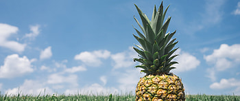 21:9 Ultrawide () - Sunbathin' Pineapple HD wallpaper