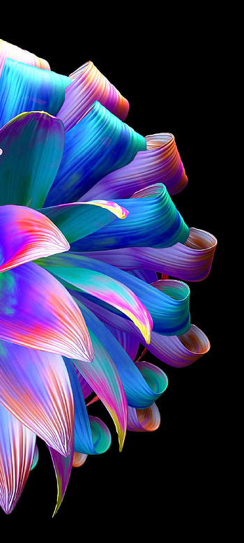 Colorful Flower, purple HD phone wallpaper