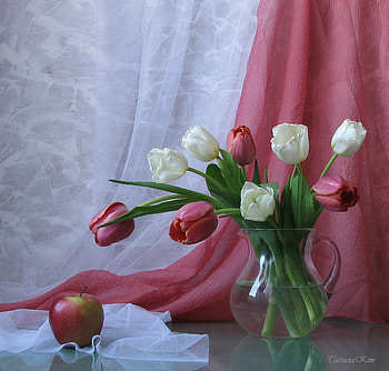 still life, tulip, graphy, kettle, tulips, nice, flower, fruit, , water, white, elegantly, beautiful, pink, cool, apple, flowers, harmony HD wallpaper