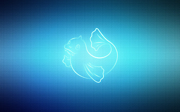 Vector, Pokemon, Pokémon, To Swim, Swim, Dewgong HD wallpaper