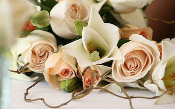 Flowers, Roses, Branch, Bouquet, Romance, Tenderness HD wallpaper