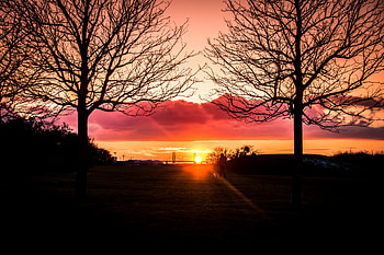 Nature, Sunset, Horizon, Silhouette, Privacy, Seclusion, Loneliness HD wallpaper