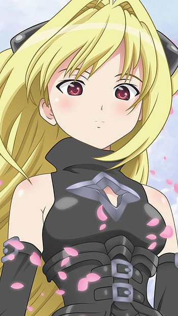 Manga black cat, anime, love HD phone wallpaper