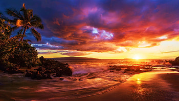 Incredible sunset on the volcanic coast of Maui, sea, hawaii, palmtree, clouds, colors, sky, rocks, usa HD wallpaper