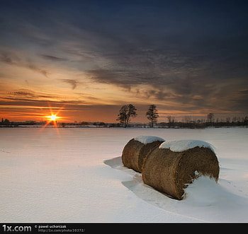 Snow day, frozen, chilly, cold, whit, orange, sunrise, snow, clouds, hay, nature, sky, sun, ice, sunset HD wallpaper