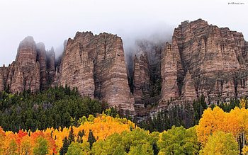 Beautiful nature scenery, trees, nature, colourful, forest, mountain HD wallpaper
