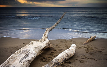 SUNSET HORIZON, sea, shore, log, beach HD wallpaper