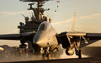 grumman-f-14-tomcat : HD wallpaper