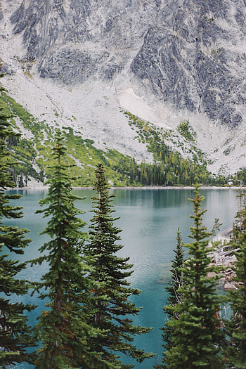 Landscape, Nature, Trees, Mountain, Lake, Shore, Bank HD phone wallpaper