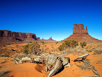 Nature, Canyon, Desert, Vegetation, Roots, Shrubs, Drought HD wallpaper