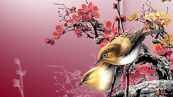 Birds of Asia, summer, birds, sakura, Asian, Oriental, flowers, spring, Firefox Persona theme HD wallpaper