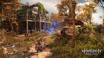 Aloy Forest Background Horizon Forbidden West HD wallpaper