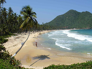 Margarita Island, Choroni, Beach paradise, Sparkling sand HD wallpaper