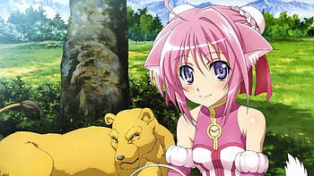 Dog Days, Cute girl, Pink hair HD wallpaper