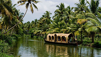 Backwaters, Kerala HD wallpaper
