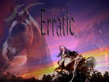 Horse EarthQuake, animals, arabians, sky, nature, stallions HD wallpaper