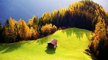 Cabin On The Edge, edge, beautiful, grass, high, beauty, cabin, green, trees, nature, sky, mountains, forest, grove HD wallpaper
