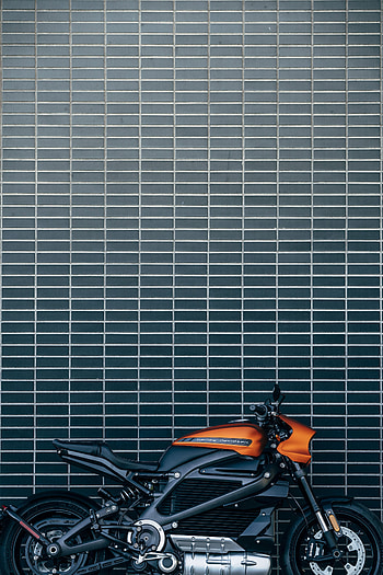 Motorcycles, Side View, Motorcycle, Bike, Harley Davidson, Harley-Davidson Livewire, Electric Bike, Electricbike HD phone wallpaper