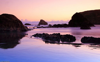 Violet nature, sea, beach HD wallpaper