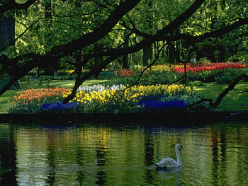 colorssssss, none HD wallpaper