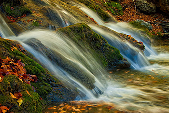 Silver Streams, streams, leaves, soft, autumn, waterfalls HD wallpaper