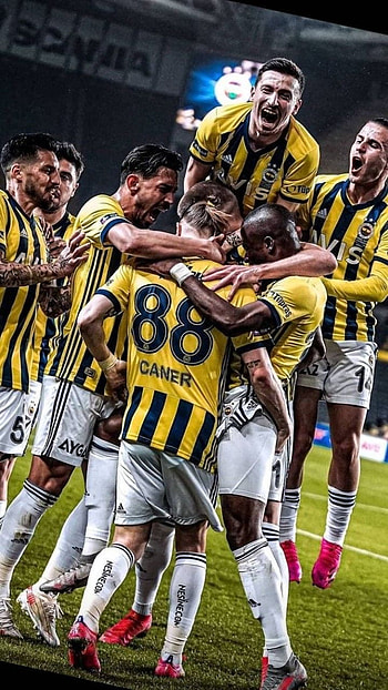 Fenerbahçe, sporr, football HD phone wallpaper