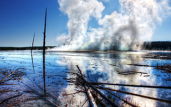 Nature, Water, Trees, Branches, Steam, Source, Thermal HD wallpaper