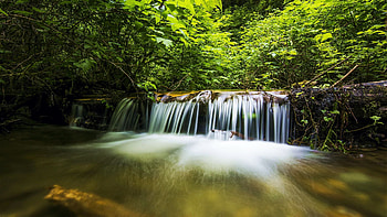 Fern Canyon in Prairie Creek Redwoods, California, trees, river, cascade, usa HD wallpaper