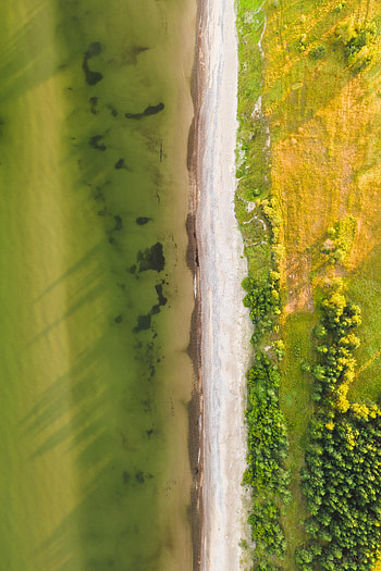 Nature, Trees, View From Above, Coast, Forest HD phone wallpaper