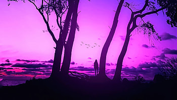 Soulful Time With Myself, evening, birds, artist, artwork, digital-art HD wallpaper