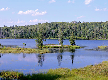 Island In The River, Reflections, graphy, Forest, Island, Nature, River, Sky HD wallpaper