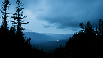 Nature, Trees, Sky, Hills, Evening HD wallpaper