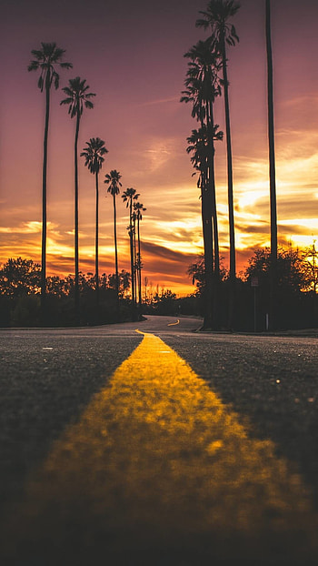 Santa Ana travels, Aesthetic california orange, Orange posted, Zoey simpson HD phone wallpaper