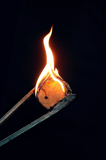 Fire, Dark, Flame, Wood, Tree, To Burn, Burn HD phone wallpaper