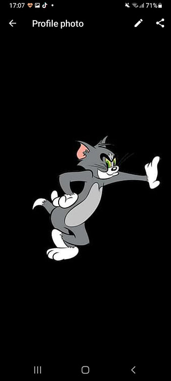 Tom, art, felidae HD phone wallpaper