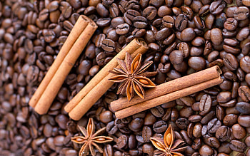 Anise Plant, Macro coffee capture, Cinnamon and star anise, Perfect blend HD wallpaper