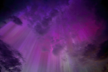 Aurora Alberta Night Sky , aurora, nature, night, sky HD wallpaper